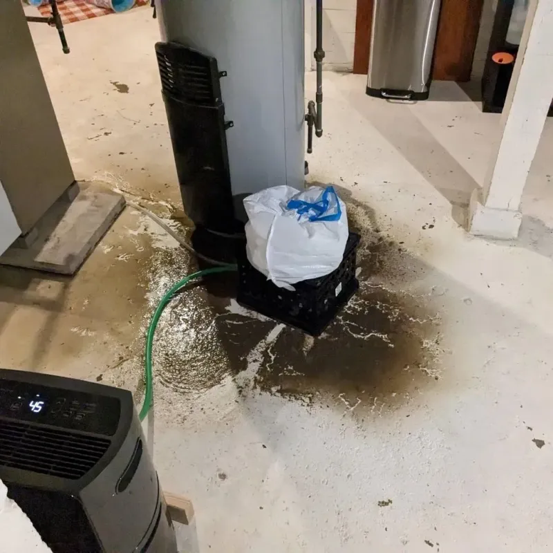Sewage Backup Cleanup Service in Ione, CA